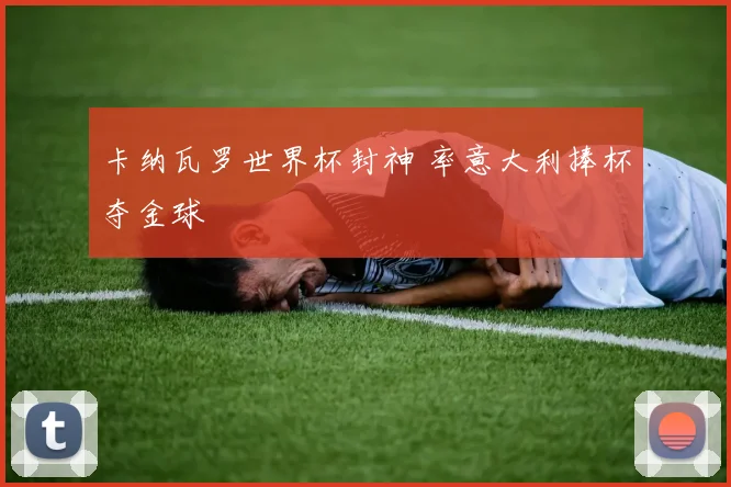 卡纳瓦罗世界杯封神 率意大利捧杯夺金球