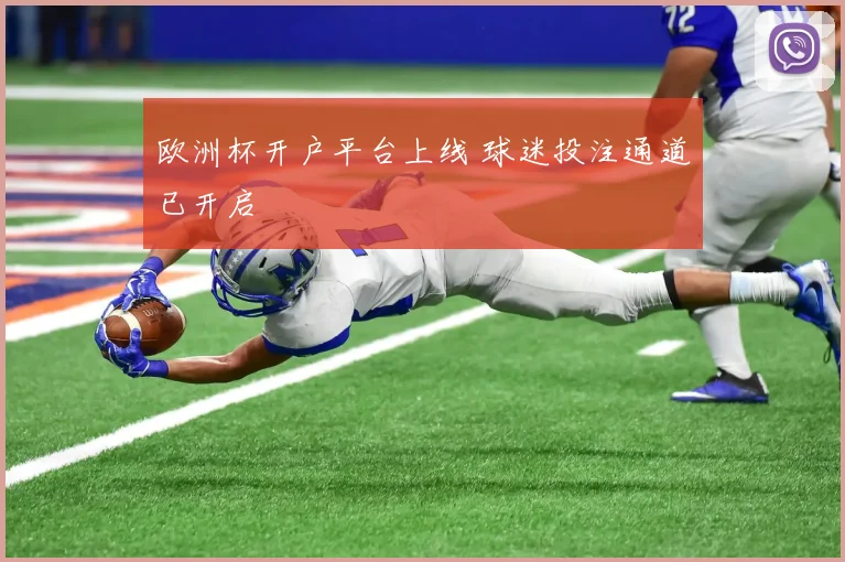 欧洲杯开户平台上线 球迷投注通道已开启