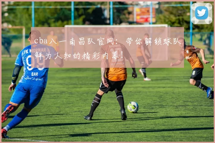 cba八一南昌队官网：带你解锁球队鲜为人知的精彩内幕！