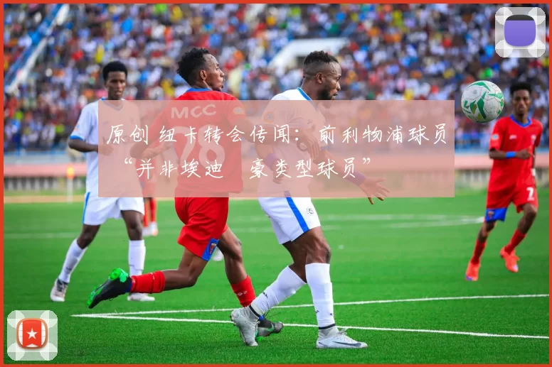 原创 纽卡转会传闻：前利物浦球员 “并非埃迪・豪类型球员”